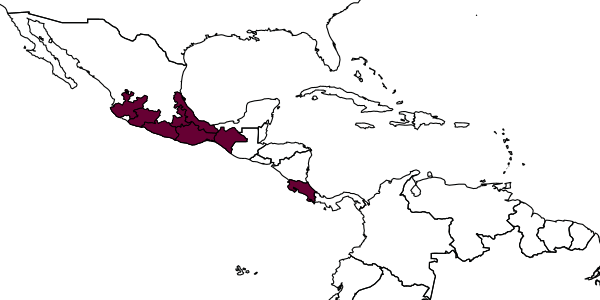 map of Omphale pallida     Hansson, 1997